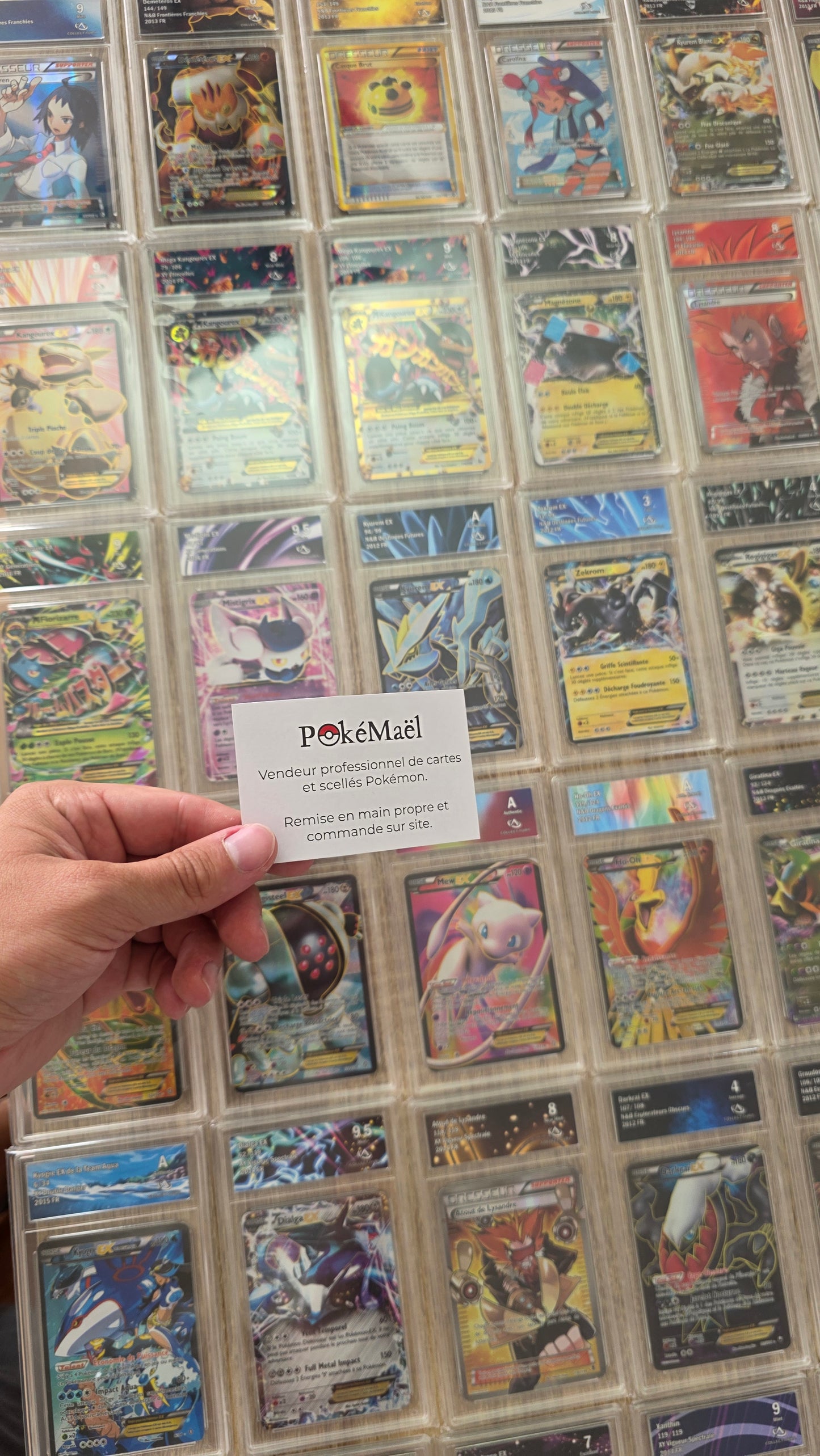 Lot de 250 Cartes Pokémon Gradé Pokémon XY Noir et Blanc