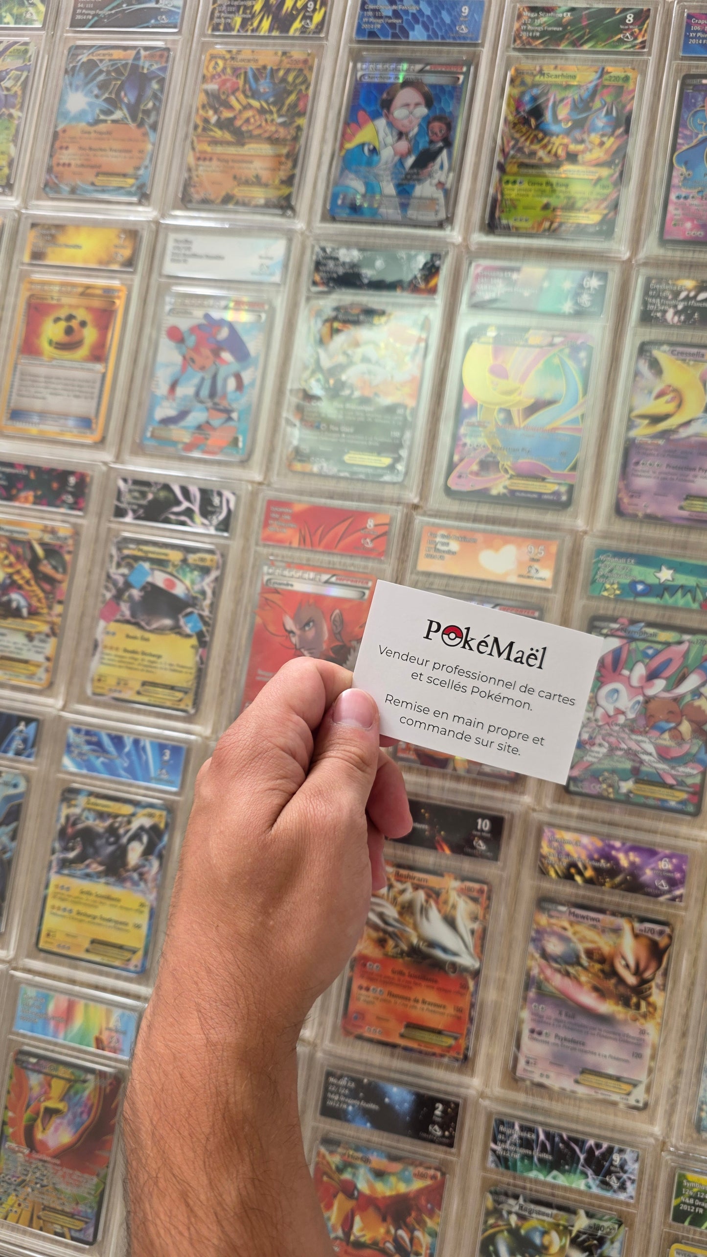 Lot de 250 Cartes Pokémon Gradé Pokémon XY Noir et Blanc