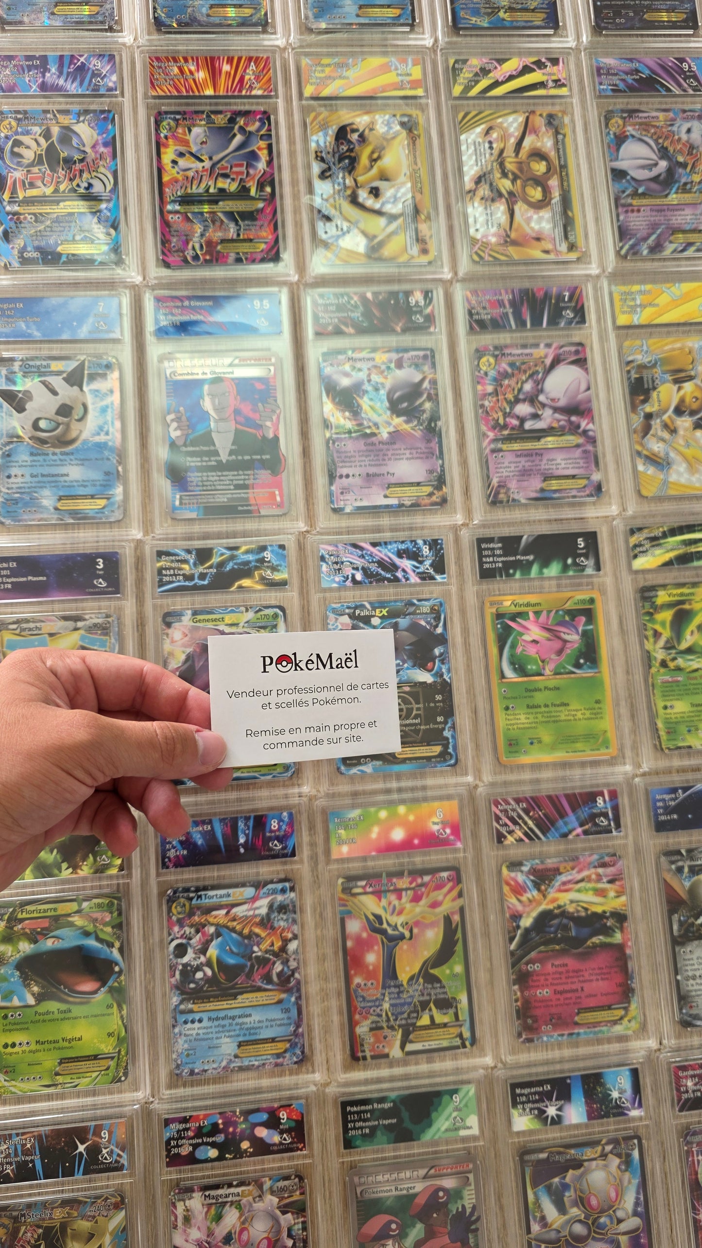 Lot de 250 Cartes Pokémon Gradé Pokémon XY Noir et Blanc