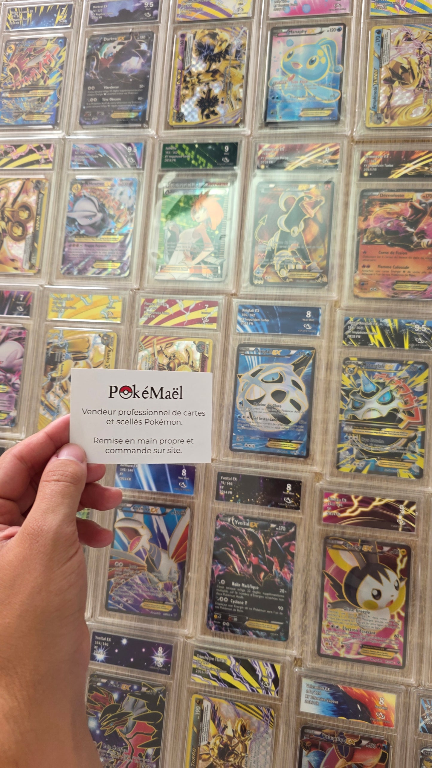 Lot de 250 Cartes Pokémon Gradé Pokémon XY Noir et Blanc