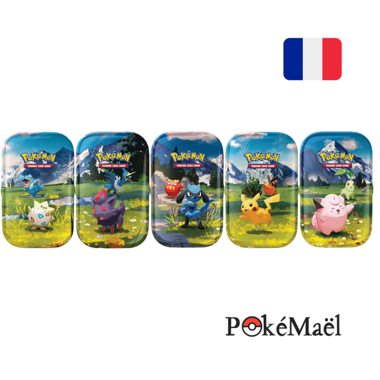 Display de Mini Tin Héros Transcendants ME2.5