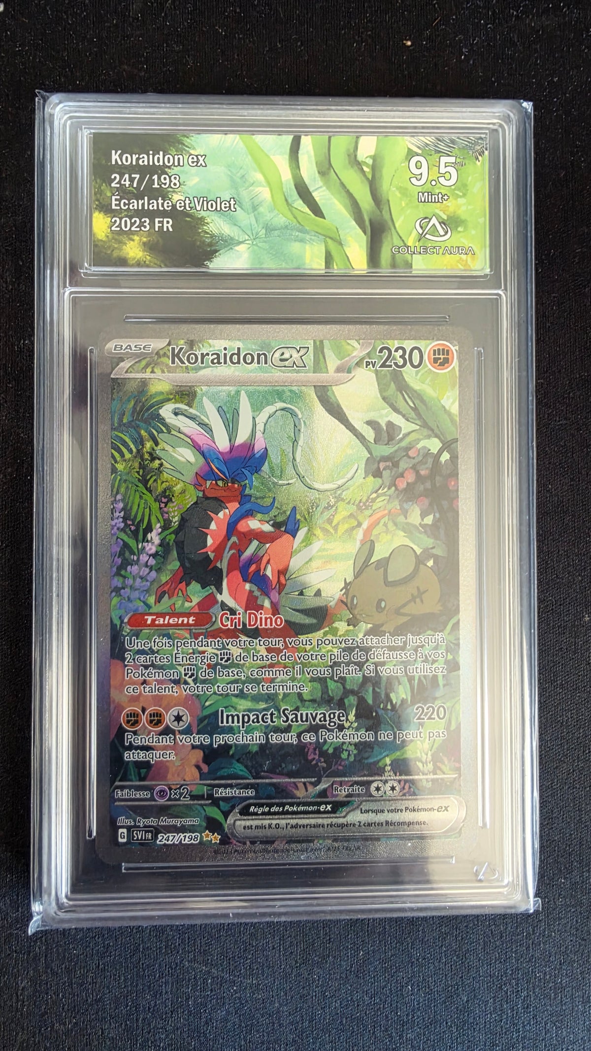 Carte Pokémon Gradée Collect Aura Koraidon ex 9.5 247/198 - face
