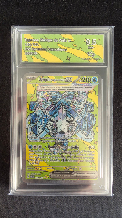 Carte Pokémon Gradée Collect Aura Ogerpon Masque du Puits ex 9.5 152/131 - face