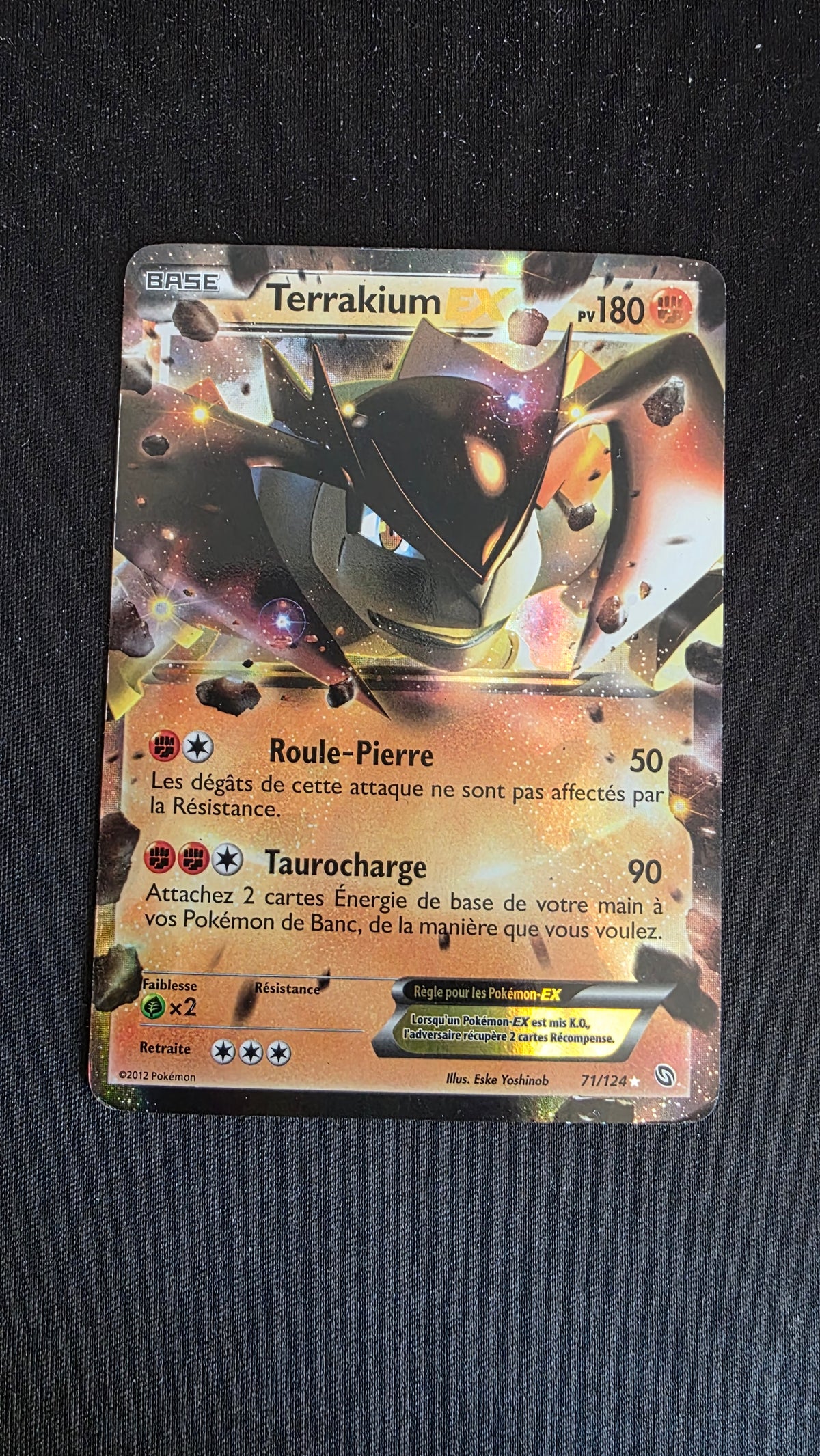 Carte Pokémon Terrakium EX 71/124 - face