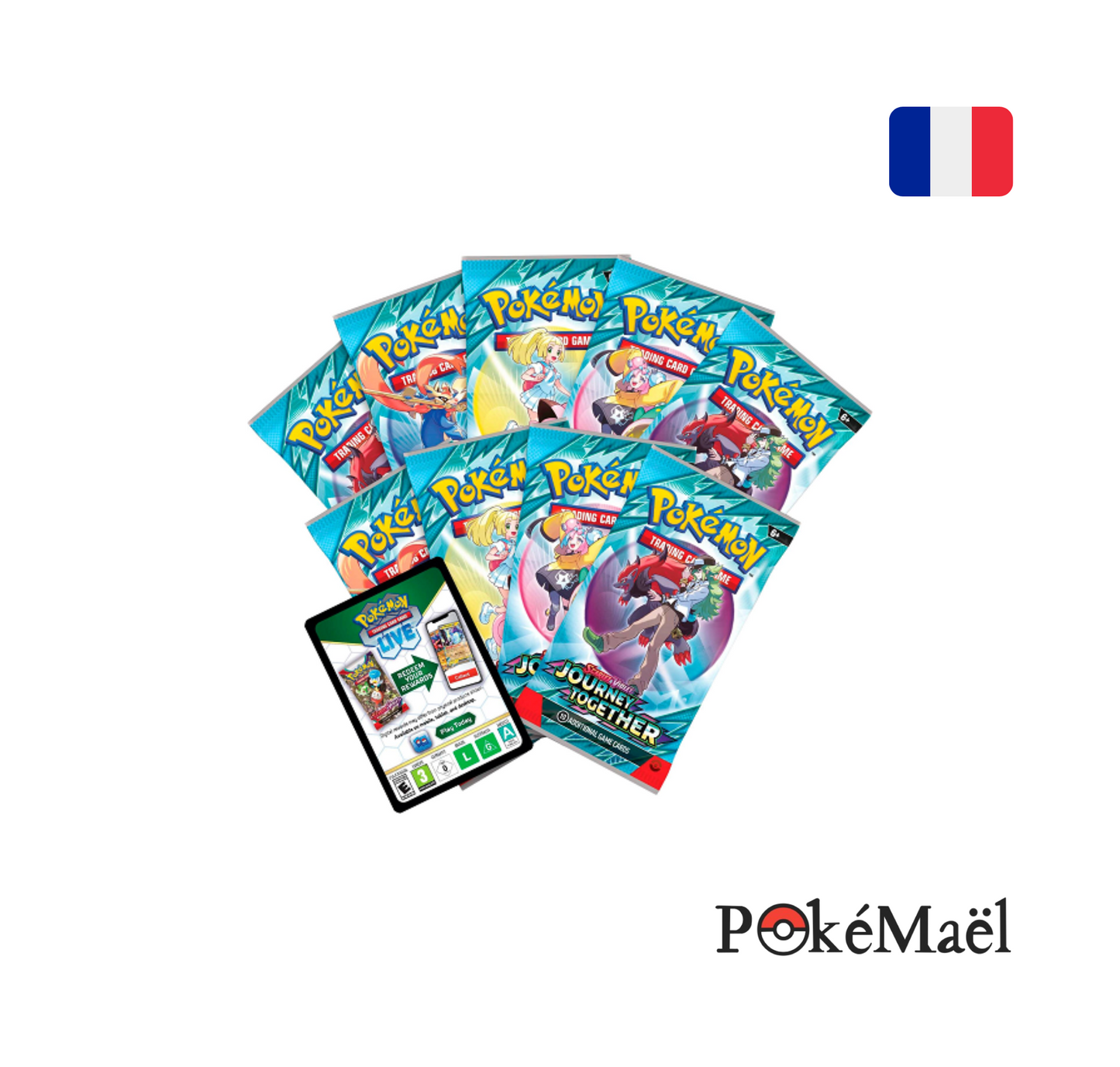 [PRÉCOMMANDE] ETB / Coffret Dresseur d'élite Pokémon Aventures Ensembles EV9